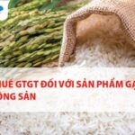 Thuế GTGT đối với sản phẩm gạo nông sản
