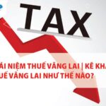 Khái niệm Thuế vãng lai | Kê khai thuế vãng lai như thế nào?
