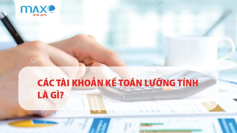 Các tài khoản kế toán lưỡng tính là gì?