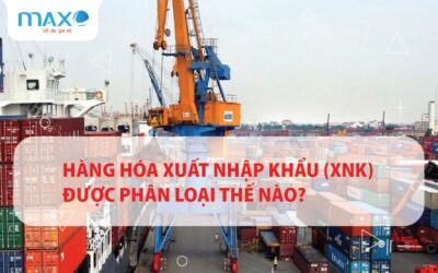 Hàng hóa xuất nhập khẩu (XNK) được phân loại thế nào?