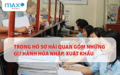 Trong Hồ sơ hải quan gồm những gì? Hành hóa Nhập, Xuất khẩu