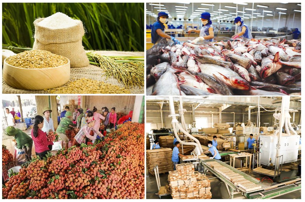 Kế toán trong Doanh nghiệp sản xuất nông, lâm Nghiệp