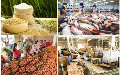 Kế toán trong Doanh nghiệp sản xuất nông, lâm Nghiệp